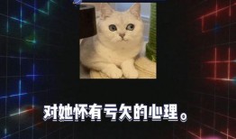 娱乐圈游戏吃瓜,游戏吃瓜，揭秘明星幕后故事