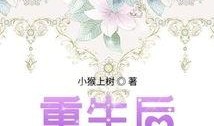 重生后旁观吃瓜免费阅读,旁观吃瓜免费阅读，揭秘娱乐圈风云