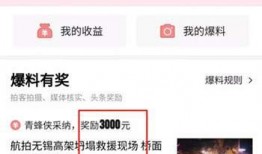 如何在今日头条爆料自己,轻松掌握一键举报技巧