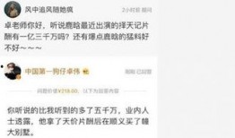 卓伟最新爆料五月行程,五月行程大揭秘，明星动向一网打尽！