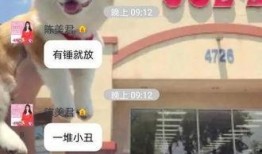 科普爆料姐姐视频大全,视频大全中的科学奥秘