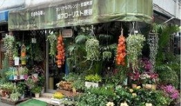 唐山花店爆料案件最新,揭开背后惊人真相