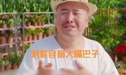 乡村爱情8 在线观看.,演绎新时代农村生活画卷